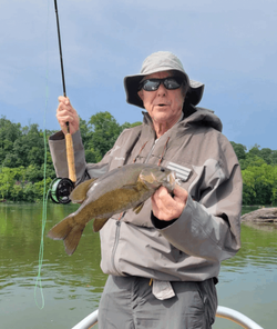 Smallmouth Bass Fly Fishing Virginia 2022